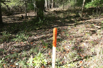 B.1 111th Ave, South Haven, MI 49090 - photo 2