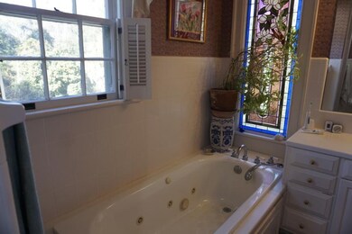 Your bath.  There is a separate shower and several