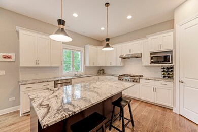 923 Rose Ln, Naperville, IL 60540 - photo 7