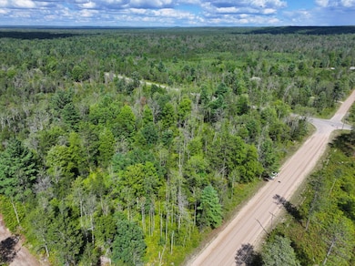 V L 10a 72nd St, Idlewild, MI 49642 - photo 7