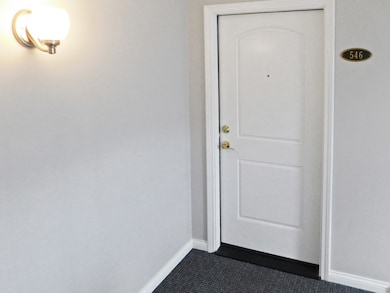 546 N Deer Run Dr unit 546, Palatine, IL 60067 - photo 3