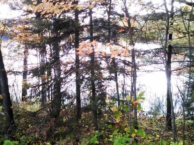 8 Acres Duck Ln, Deerbrook, WI 54424 - photo 4