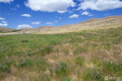 0 Nna Bill Shaw Rd unit NWM2458040, Pateros, WA 98846 - photo 5