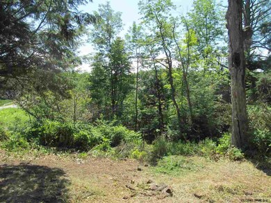 474 Lake Desolation Rd, Middle Grove, NY 12850 - photo 6