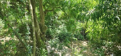 Carr. 412, Km. 4.8 Calle Pascual Nieves Bo Calvache, Rincon, PR 00677 - photo 2