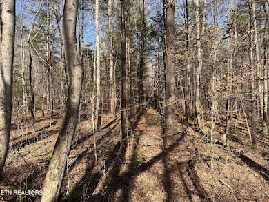 1456 Acres Hwy 52, Robbins, TN 37852 - photo 3