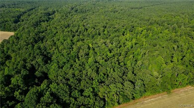 Surrounded by other wooded parcels and a farm in the rear.