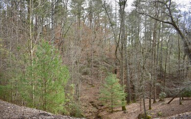Additional View