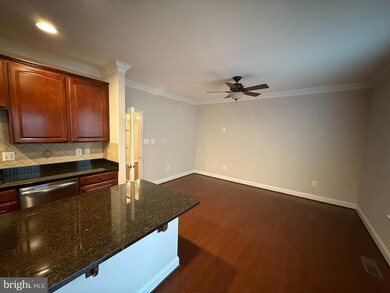 8880 Purple Iris Ln, Elkridge, MD 21075 - photo 3