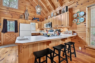 90 Dupont Dr, Blue Ridge, GA 30513 - photo 3