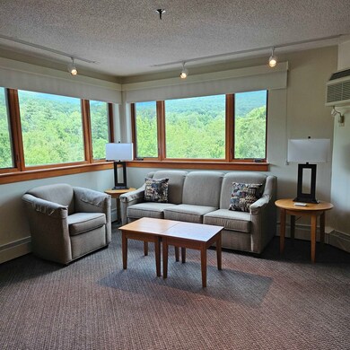 90 Loon Mountain Rd unit 1021D, Lincoln, NH 03251 - photo 7