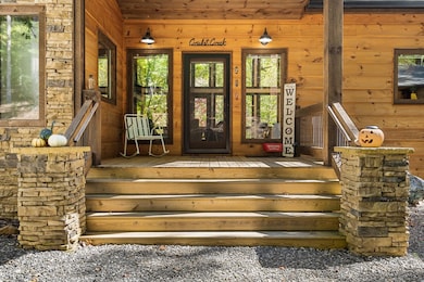 217 Goldmine Rd, Morganton, GA 30560 - photo 2