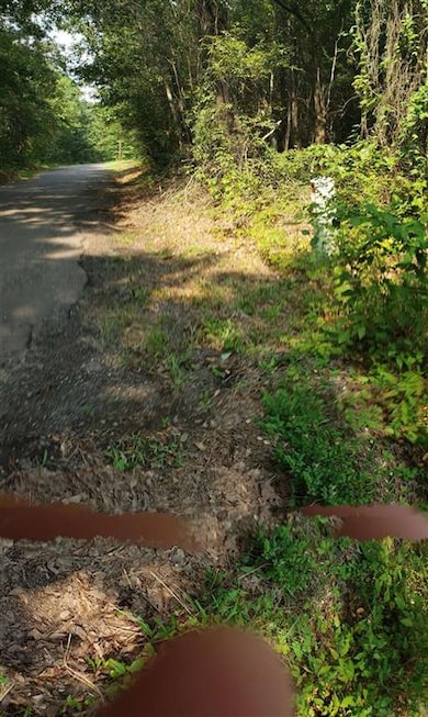 1197 Trexler Rd, Texarkana, TX 75501 - photo 6