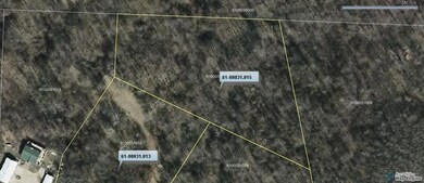 0 Chestnut Ridge Rd unit 215026718, Danville, OH 43014 - photo 3