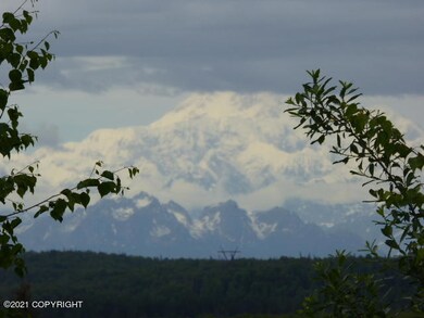 Denali view