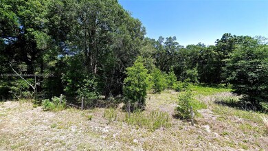 undetermined SW 200th Ct, Dunnellon, FL 34431 - photo 7