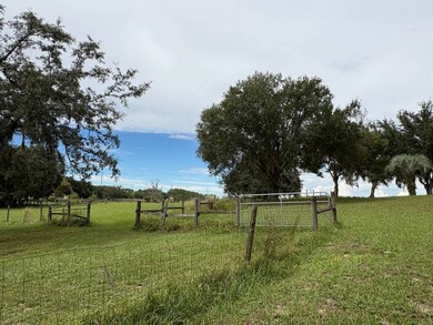 22134 Obrien Rd, Howey-In-the-hills, FL 34737 - photo 3