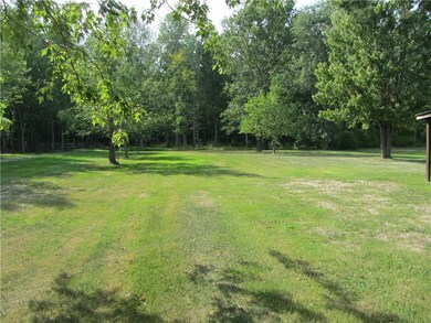 Back yard with unique tree plantings and fruit tre