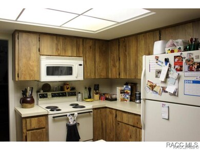 41 Birchtree St, Homosassa, FL 34446 - photo 5