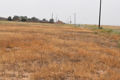 LOT VIEW 2