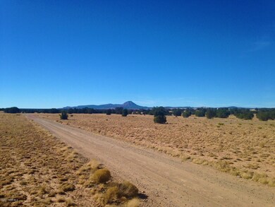10 Off of Tanner Rd, Ash Fork, AZ 86320 - photo 6