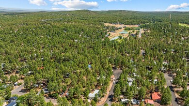 651 S 25th Ave, Show Low, AZ 85901 - photo 7