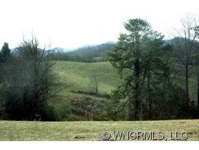 000 Watsell Dr unit 21, Leicester, NC 28748 - photo 5