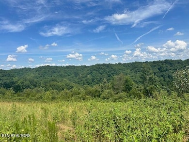 Lot #13 H O Allison Rd, Baxter, TN 38544 - photo 2