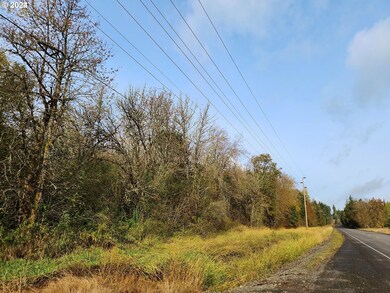 0 Henriot Rd, Winlock, WA 98596 - photo 4