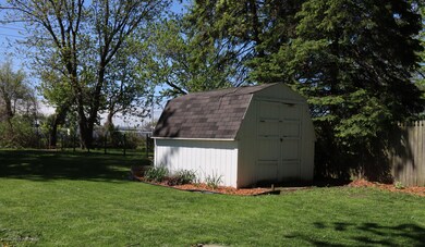Backyard - Shed
