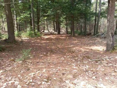 0 Nutes Rd unit 4621153, Milton, NH 03851 - photo 4