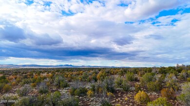 0 W Big Moon Ln Lot A -- unit 6881317, Ash Fork, AZ 86320 - photo 6