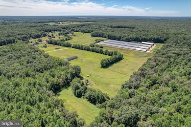 112 Open Meadow Ct, Clayton, DE 19938 - photo 7