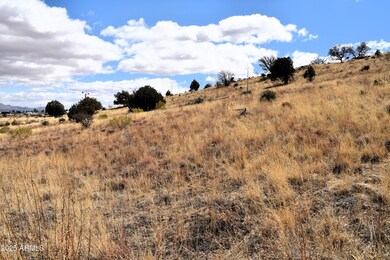 Lot 009P S One More Road -- unit 9P, Hereford, AZ 85615 - photo 4
