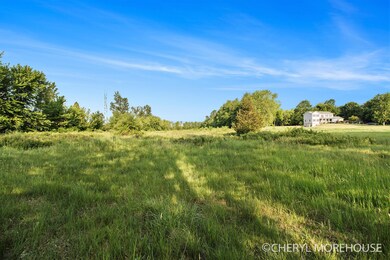 IMG_4295 copy