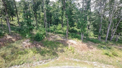 35 High Summit Dr, Talking Rock, GA 30175 - photo 4