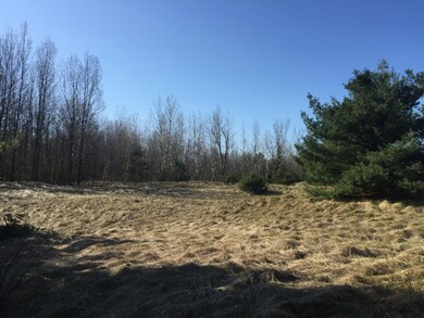 Generic Subdivision Shot
