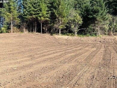 0 Harbor Hills Heights unit 654698490, Brookings, OR 97415 - photo 6