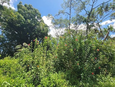 0 S Nenue St unit 725903, Pahoa, HI 96778 - photo 7