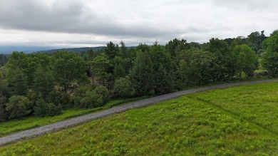 TBD Stevens Rd, Barton, VT 05875 - photo 3