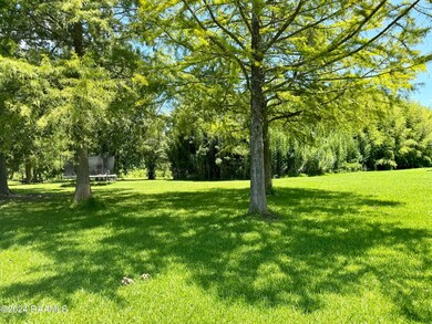 Back yard views