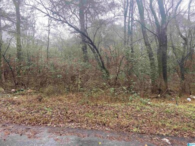 1511 Farris Dr unit 7-12, Birmingham, AL 35061 - photo 4