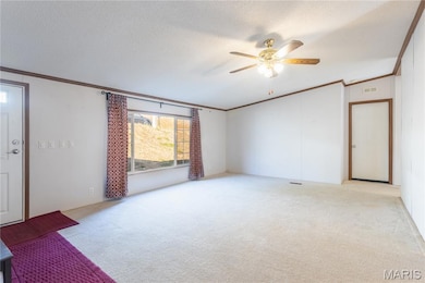 3166 Quiet Forest Dr, Imperial, MO 63052 - photo 4