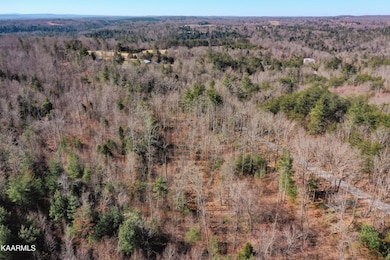 DJI_0366-2