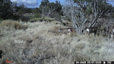000 Tba Rd, Quemado, NM 87829 - photo 5