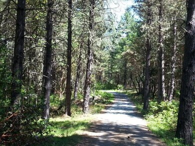 207 S Vannoy Creek Rd, Grants Pass, OR 97526 - photo 5