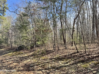 0 N Laurel Loop unit RTC2962883, Monterey, TN 38574 - photo 4