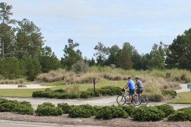 1284 Cross Water Cir, Leland, NC 28451 - photo 3