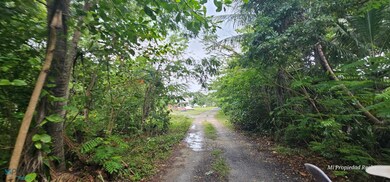 C 693 Dorado unit Breñas, Dorado, PR 00646 - photo 7