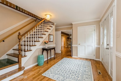 5N452 Fence Rail Ct, Saint Charles, IL 60175 - photo 4